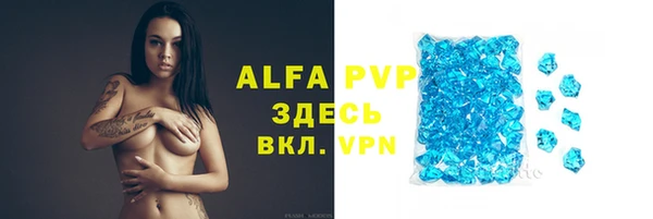 apvp Белокуриха